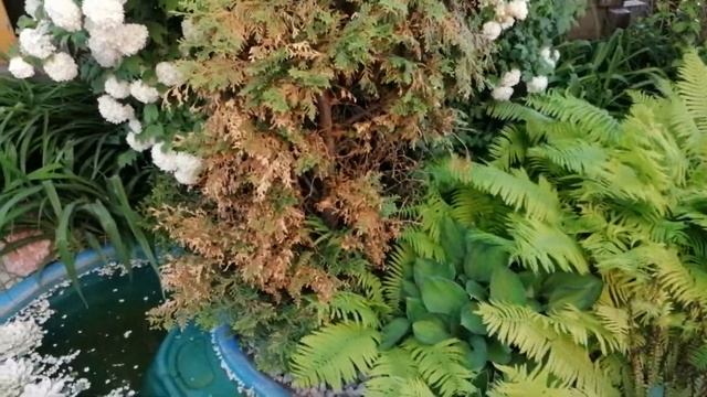 Любимый уголок на даче. смотреть онлайн