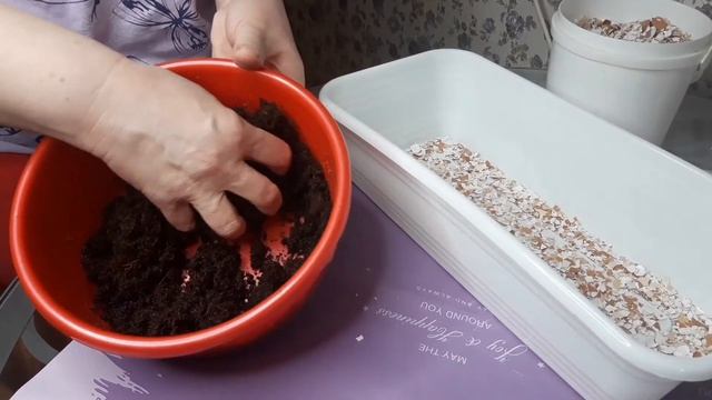 Смотрите, как я готовлю почву на рассаду с секретным ингредиентом! смотреть онлайн