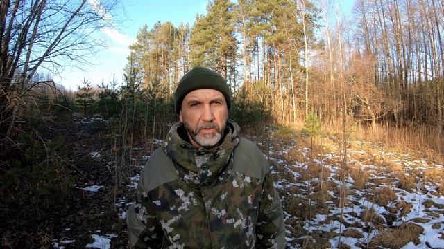 Встреча с волком в лесу. Удивительные истории про волков на хуторе смотреть онлайн