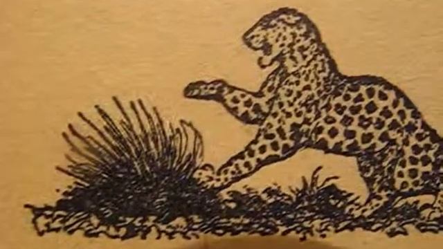 ***Иглы дикобраза*** смотреть онлайн