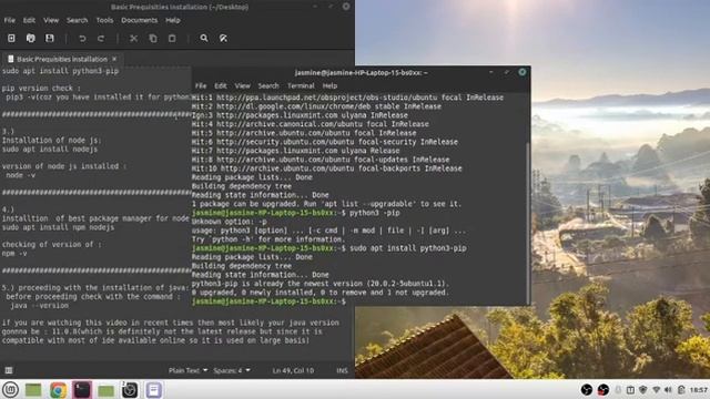 Installation of NodeJs, npm and python3 -pip. смотреть онлайн