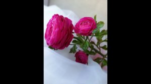 Ранункулюс из холодного фарфора. Часть 4. Тонировка. Сборка листьев.