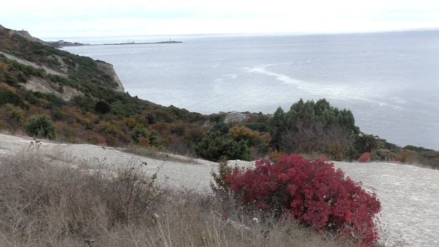 У нас гости. Едем на кипарисы. смотреть онлайн