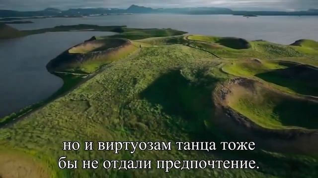 Чем полезны танцы для мужчин — Статья смотреть онлайн