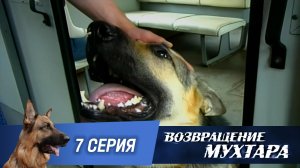 «Возвращение Мухтара»: «Зеленая карета» (1 сезон. 7 серия)
