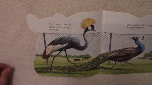 The Zoo Book By Jan Pfloog - A Children's book about Zoo animals - ESL - Stories for kids смотреть онлайн