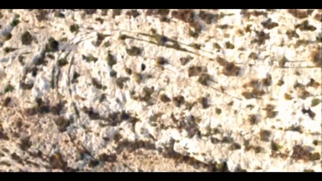 Кто-то создал их по всему миру .Каменные колеи доисторических времен смотреть онлайн