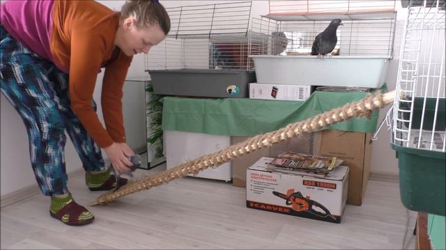 Голуби 2021г смотреть онлайн