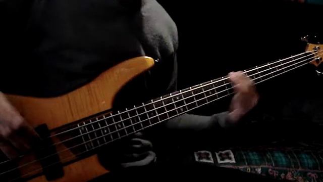 Take Me Out (Franz Ferdinand) Bass Cover смотреть онлайн