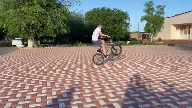 Не плохая попытка сделать трюк под названием *Вилли* смотреть онлайн