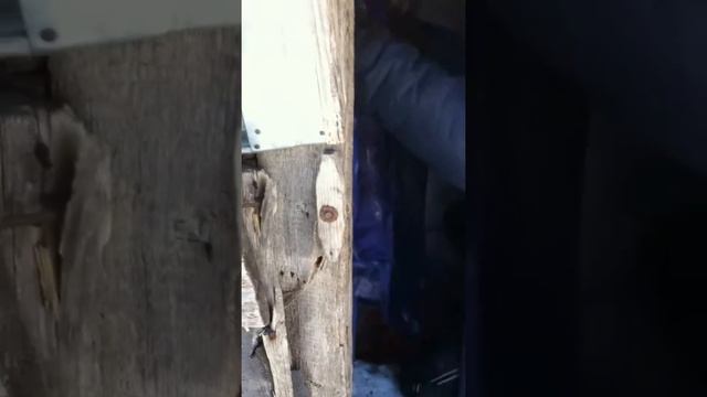 26.01.2018 Шилово Алтай. Дополнение к видео от 25.01.2018. На следующий день... смотреть онлайн
