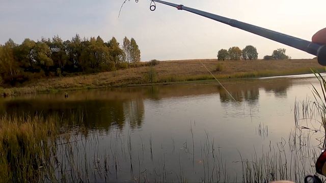 Ловля окуня на Джиг Риг. Bait Breath Mosya смотреть онлайн