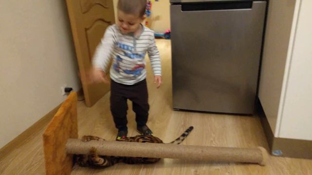 Мой братан тигр