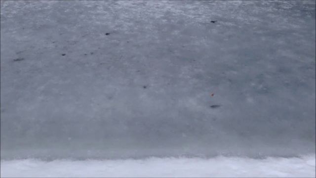 Немое кино: О ПОГОДЕ