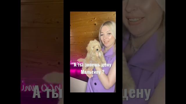 Цена Мальтипу смотреть онлайн
