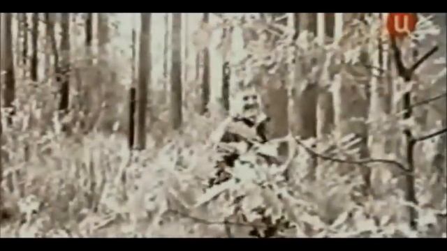 Светлой памяти Михаила Круга смотреть онлайн