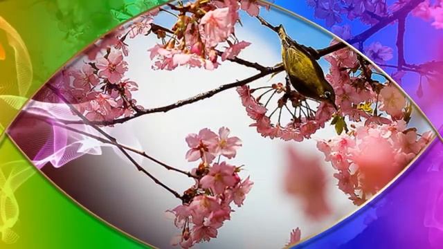 Поздравление ! С днём Рождения Гульнара ! смотреть онлайн