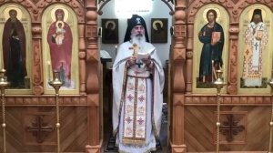 Погибнет ли русское Православие??? Схиигумен Гавриил (Виноградов-Лакербая). Кавказский #скитВалаама