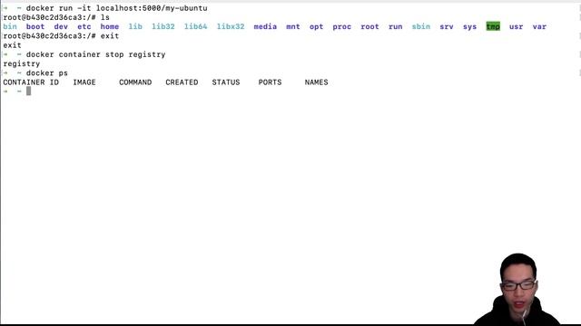什么是Docker Registry和Docker Hub？【Docker教程4】 смотреть онлайн