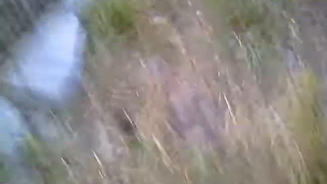 ЛОТОС 2 смотреть онлайн