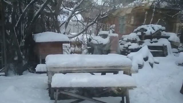 Казачья песня смотреть онлайн