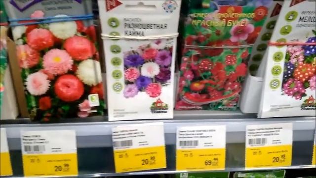 СКОРЕЕ В ЛЕНТУ (КОЛОМНА) , ЗАВЕЗЛИ РОЗЫ ..... смотреть онлайн