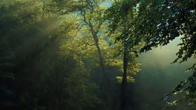 Вместе уснуть обнявшись смотреть онлайн