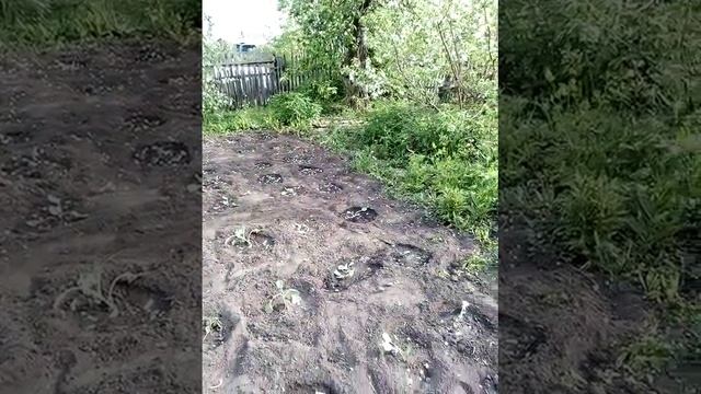 дача 2018 год июнь смотреть онлайн