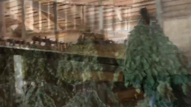 Бизнес на вениках для бани! Как заработать миллион в деревне?! смотреть онлайн