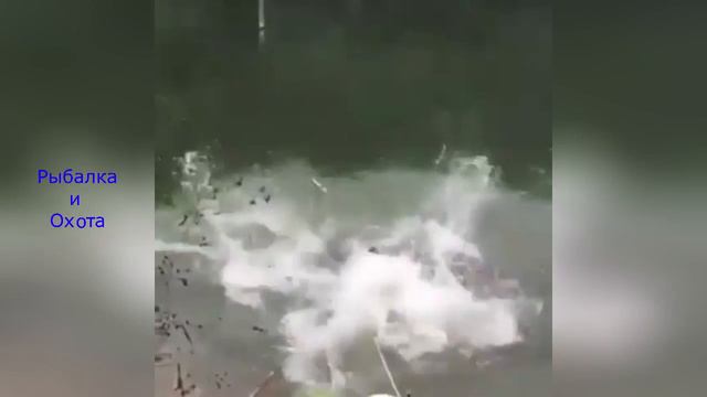 Удивительный улов Вот это Рыбалка 6 смотреть онлайн