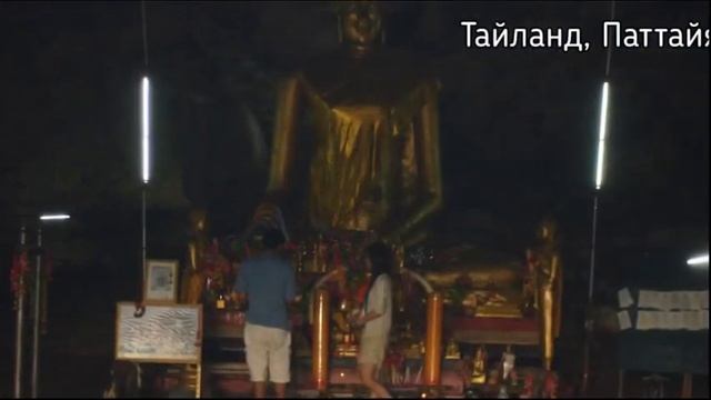 Музыка для растений, рассады! Beautiful Music! смотреть онлайн