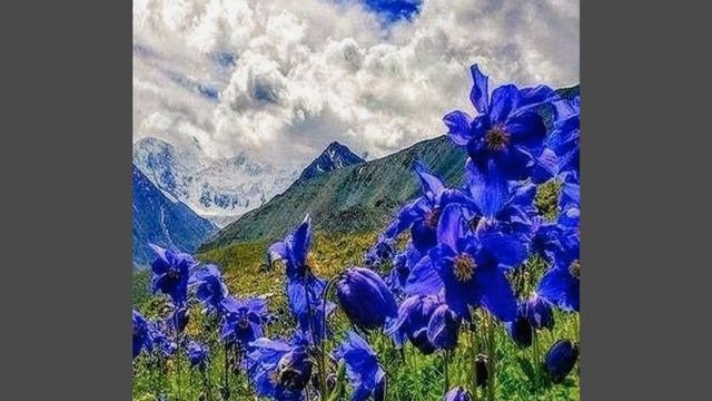 Как сделать так, чтобы наши желания исполнялись? смотреть онлайн