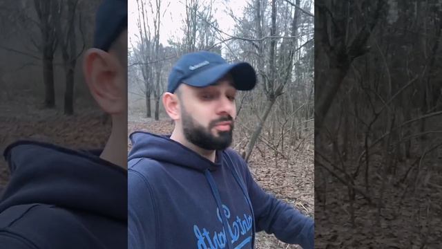 ЧОРИЧ - ХАРРИ. СТАВКА 10000 РУБЛЕЙ. ЧОРИЧ ХАРРИ ПРОГНОЗ. смотреть онлайн