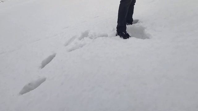 февральские виды на саратовский железнодорожный мост (+ветер в уши) смотреть онлайн