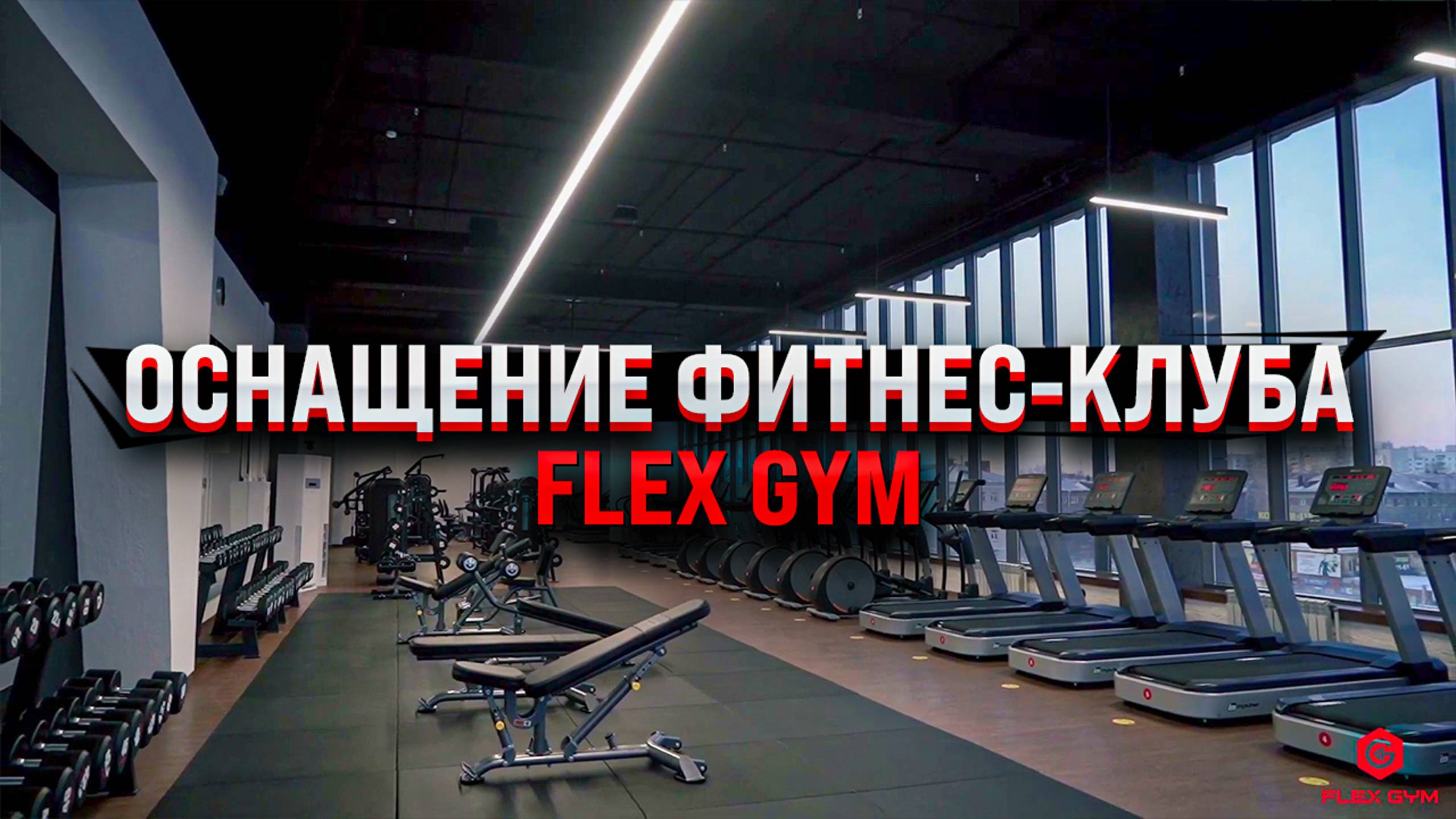 Оборудование IMPULSE FITNESS BY AEROFIT для фитнес клуба FLEX GYM смотреть онлайн