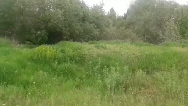 Маленькая девочка ушла из дома от мамы    Little Girl Left Home From Mom #Карина #playtime #игры