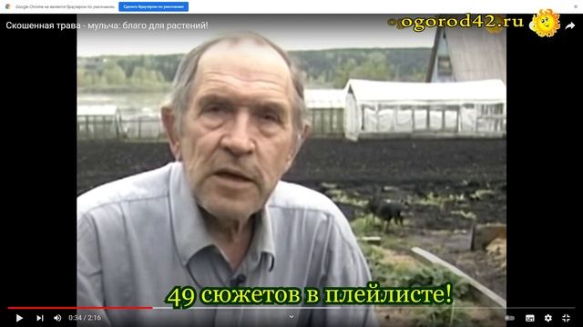 Если вы только начинаете освоение садового участка: советы, подсказки, рекомендации смотреть онлайн