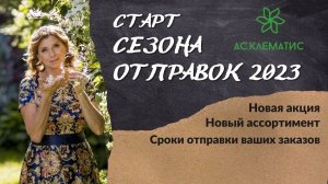ОБЗОР сортов 2х летних саженцев! НОВЫЙ ассортимент клематисов на сайте АС-КЛЕМАТИС.