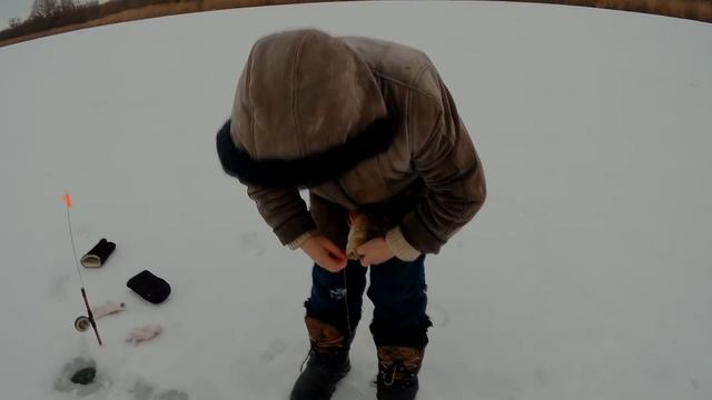 Рыбалка дедовской снастью. Ловля окуня на коромысло. смотреть онлайн