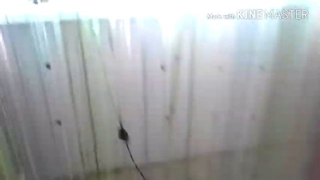 Настя упала с кровати и была внесознание 1день смотреть онлайн