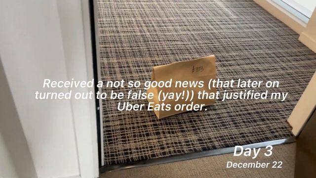 My MIQ Experience | NZ MIQ | Christmas in MIQ | Hotel Quarantine | MIQ Food | MIQ Booking | Rydges смотреть онлайн