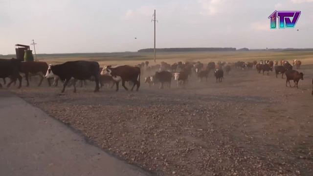 19.07.21. Итоги регистрации кандидатов в акимы городов районного значения и сельских округов по СКО смотреть онлайн