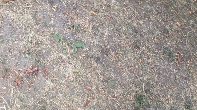 PCRE épisode 9 de ???/ ??? / !!! смотреть онлайн