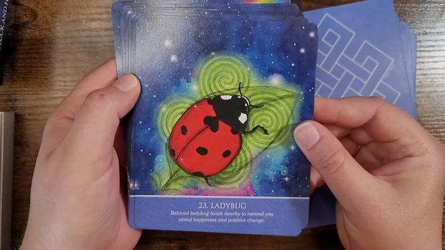 Auspicious Symbols Oracle | Unboxing and Flip Through смотреть онлайн