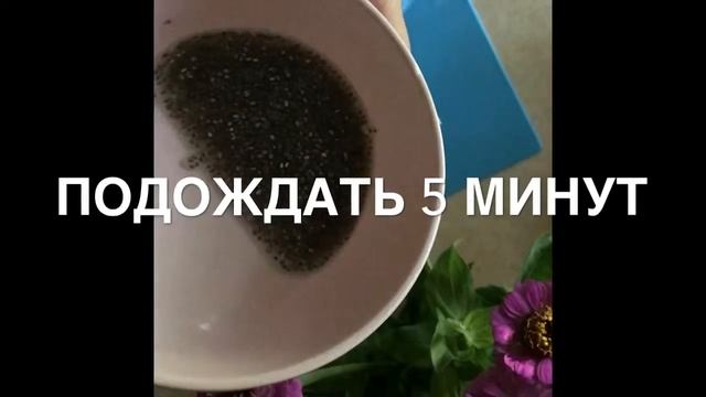Самый летний, освежающий, лёгкий и полезный завтрак с Чиа смотреть онлайн