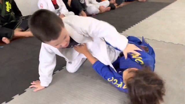 5 Years Old Testing For BJJ Grey Belt