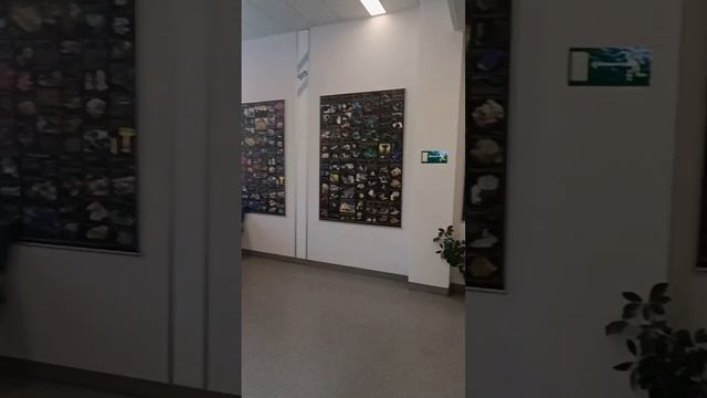 Open day in NSU смотреть онлайн