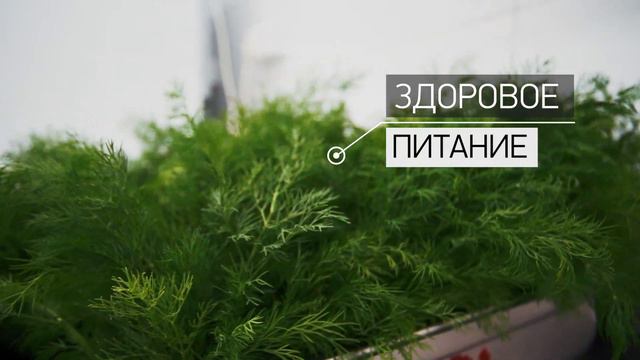 Детский лагерь смотреть онлайн