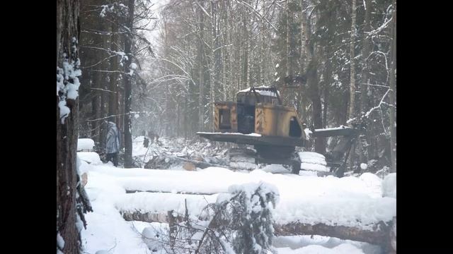 Загонная охота. 12 января 2006г. смотреть онлайн