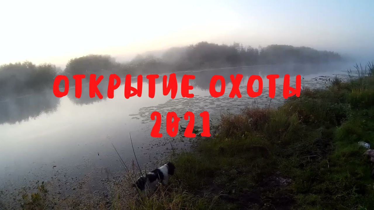 Открытие охоты на уток смотреть онлайн